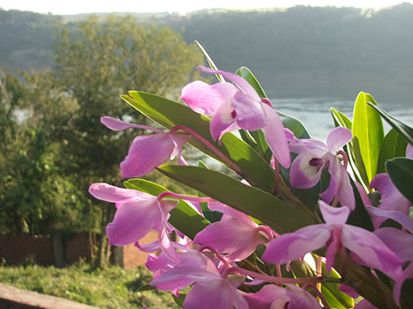 Costa del Sol Iguazú. Cabañas en Cataratas del Iguazú